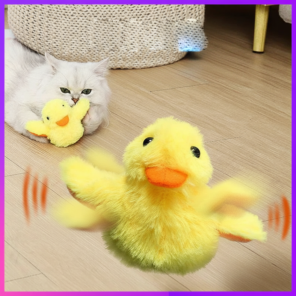 Cat Playing
