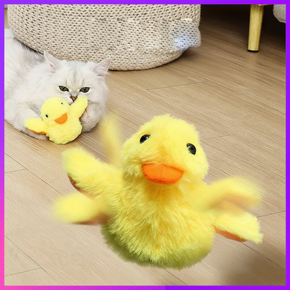 Duck Action