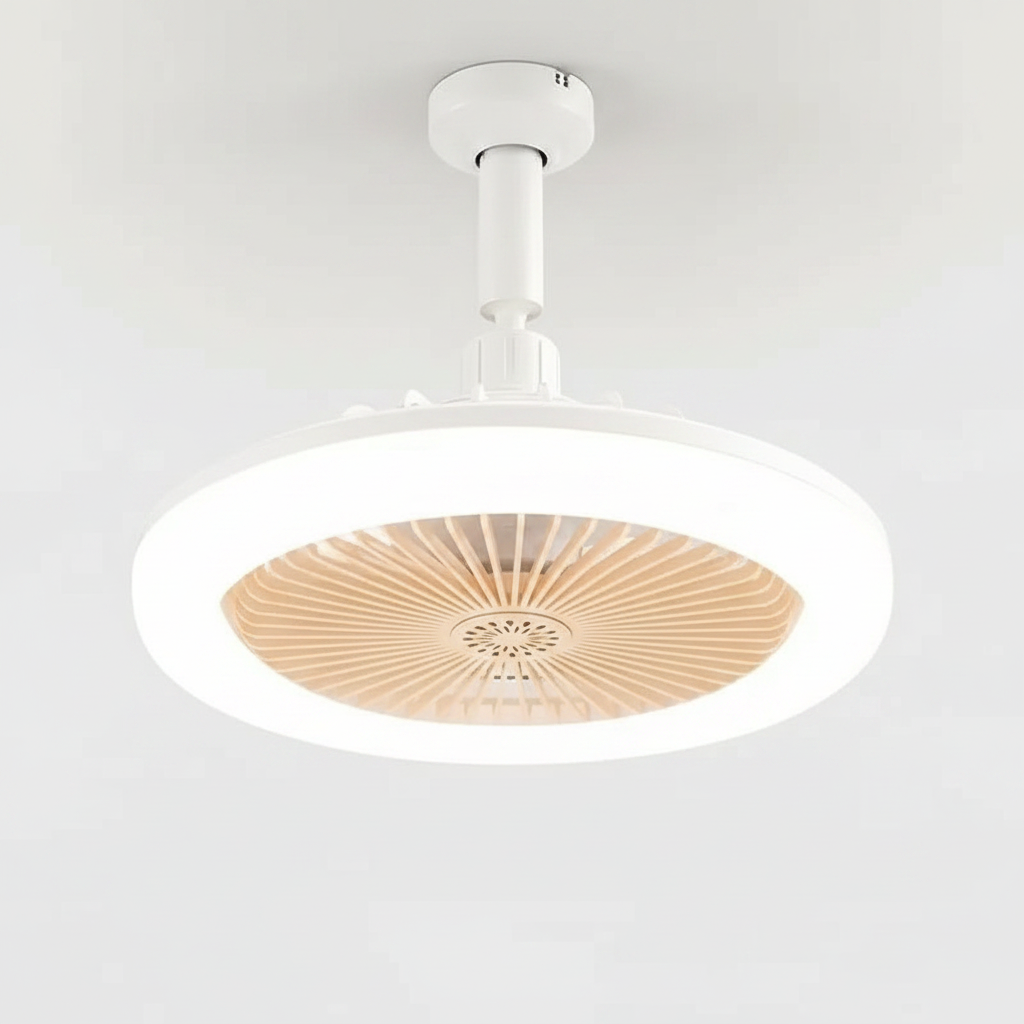 Fan Close-up