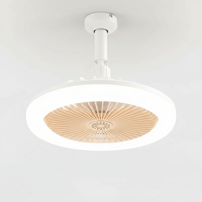 Fan Close-up