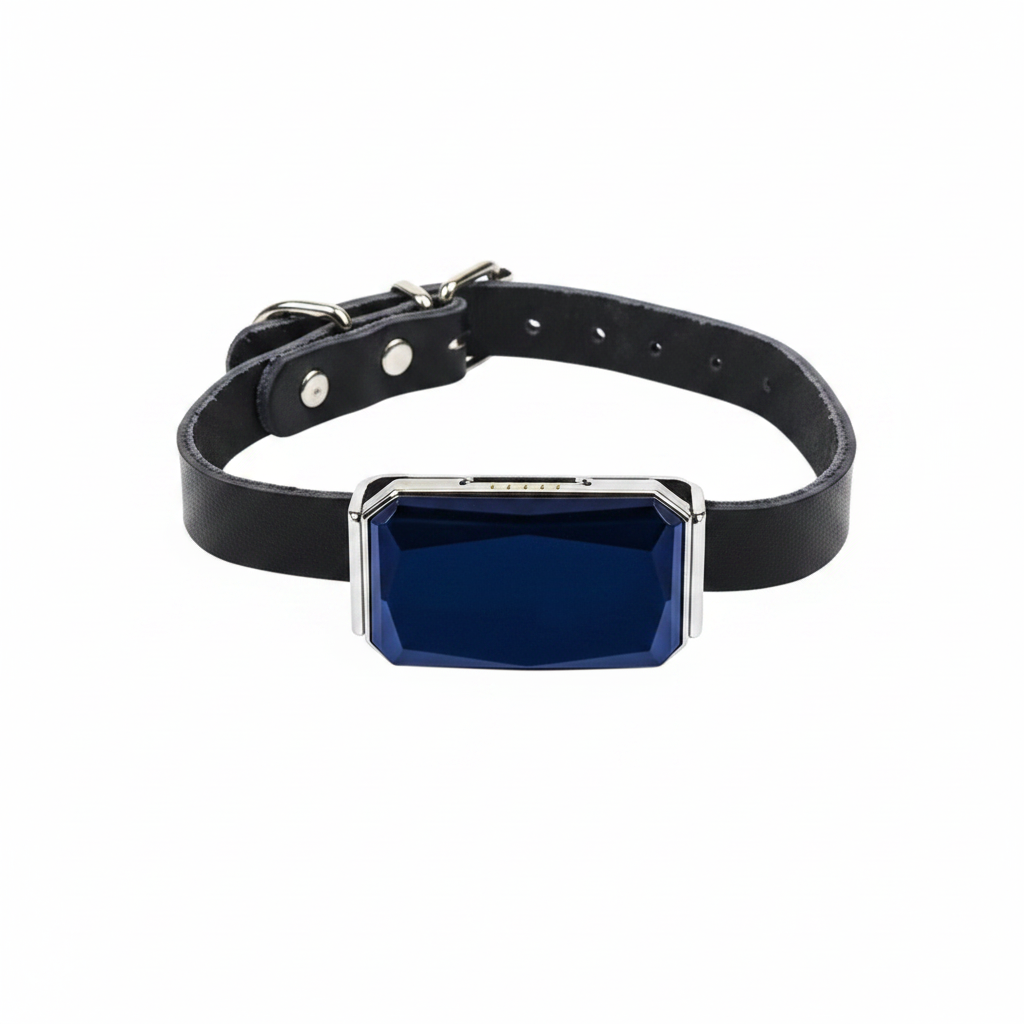 GPS Tracker Product